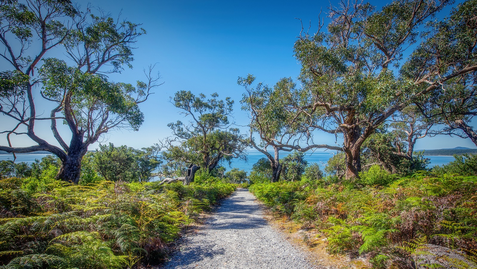 The hiking trail to Millers Landing at Wilson's Promontory National Park